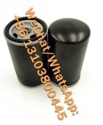 1.22.40D12RT油站液壓油循環(huán)系統(tǒng)過(guò)濾器替代濾芯1